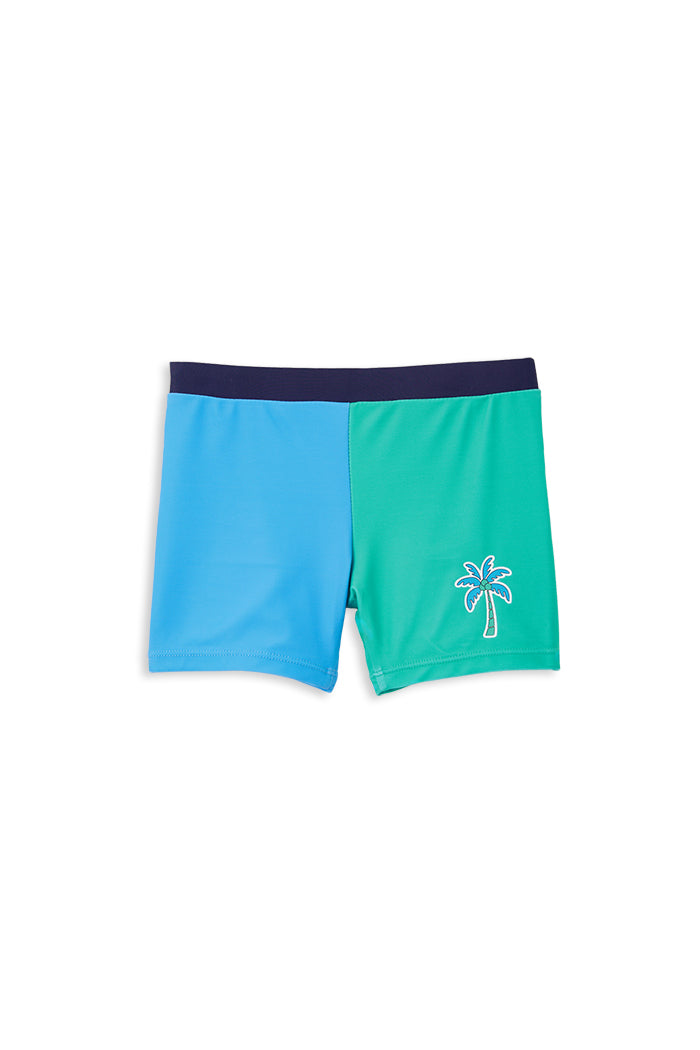 Green Panel Swim Short