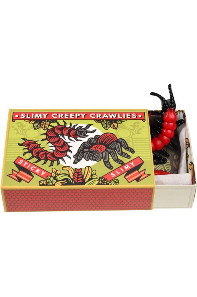 Slimy Creepy Crawlies in a box